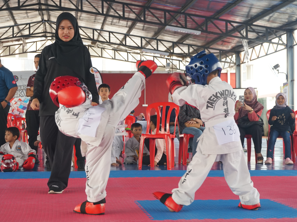 Taekwondo Tournament 2024