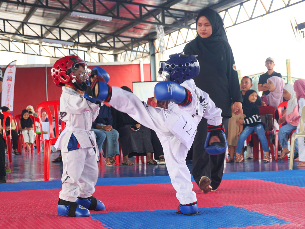 Taekwondo Tournament 2024